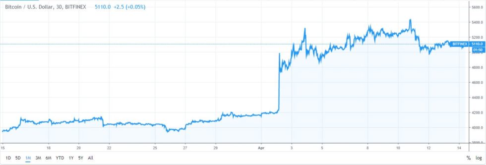 Статистика Google Trends говорит о повышении популярности биткоина с ростом курса BTC